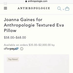 Joanna Gains Anthropologie Throw pillow 18x18